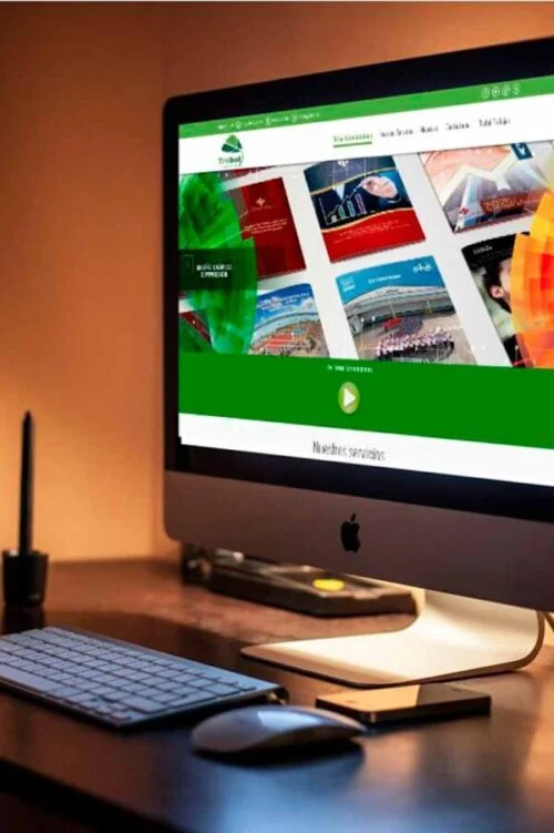 desarrolloWeb desarrollo web