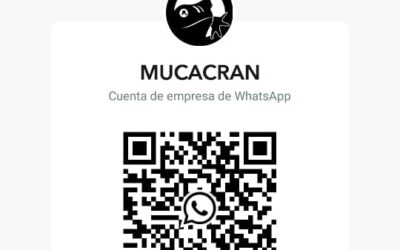 Planes de pago y servicios