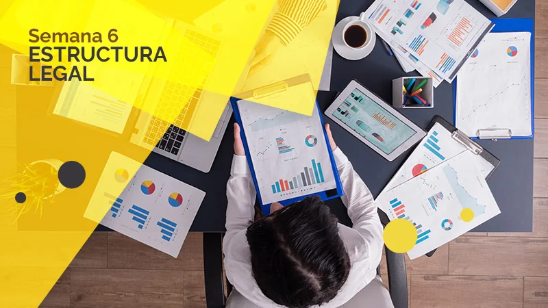 estructura legal