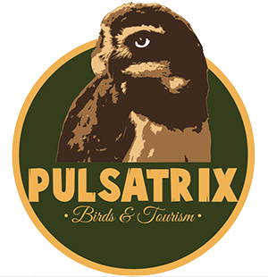 creacion imagenes logo Creación de logotipos